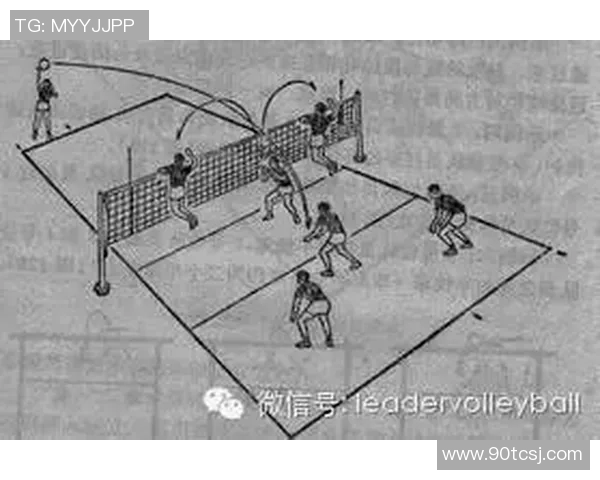 排球战术:深圳排球队的进攻体系 排球战术:深圳排球队的进攻体系