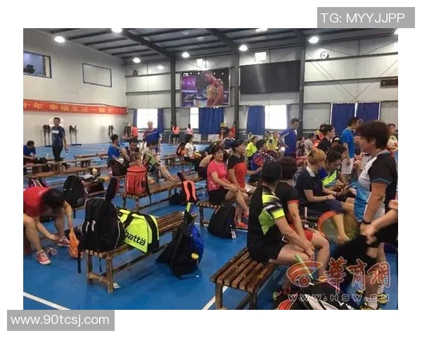 武汉羽毛球队的训练节奏与赛事表现深度剖析与未来展望